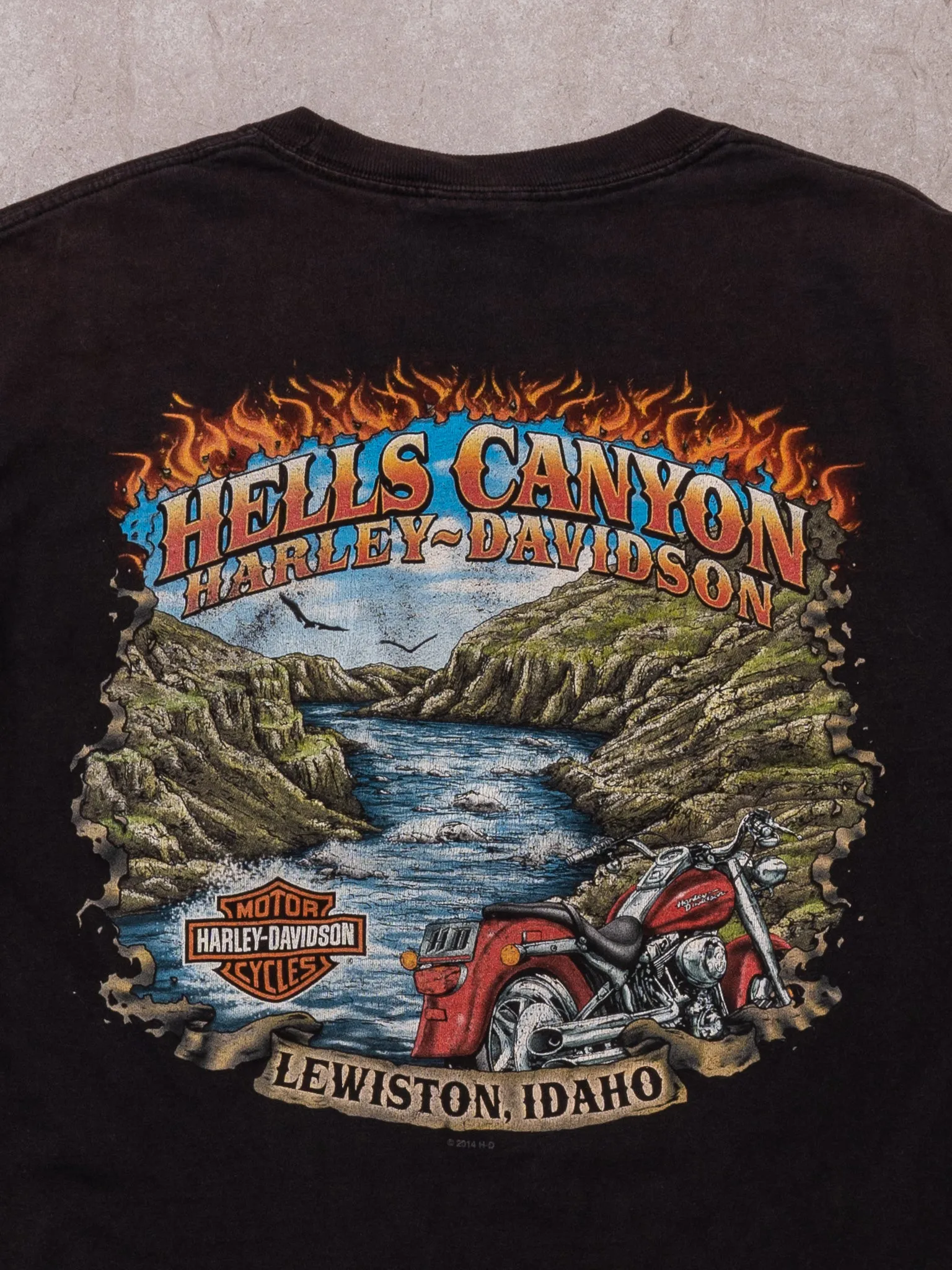 2014 Black Hells Canyon Harley Davidson Tee (S)