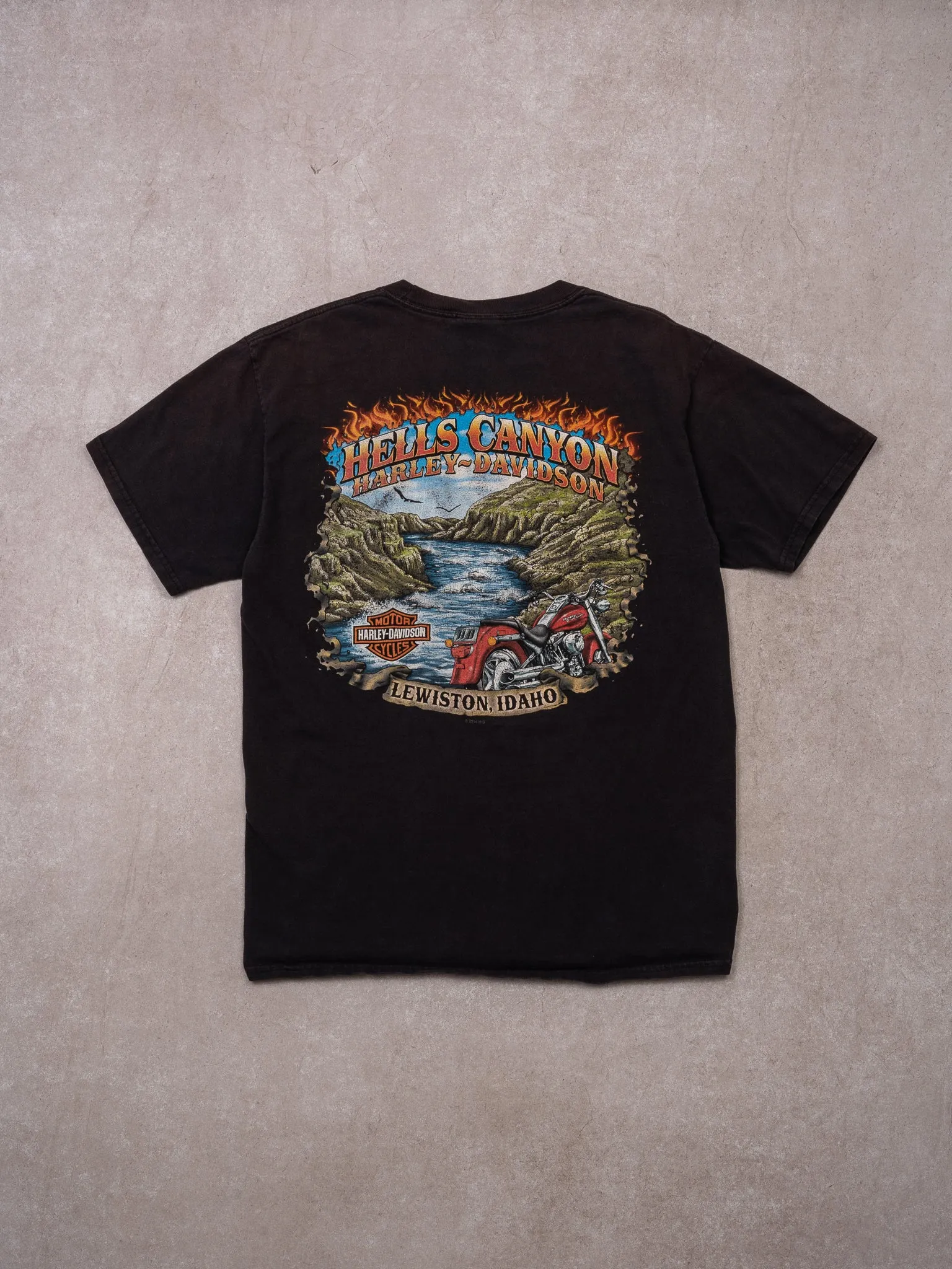 2014 Black Hells Canyon Harley Davidson Tee (S)