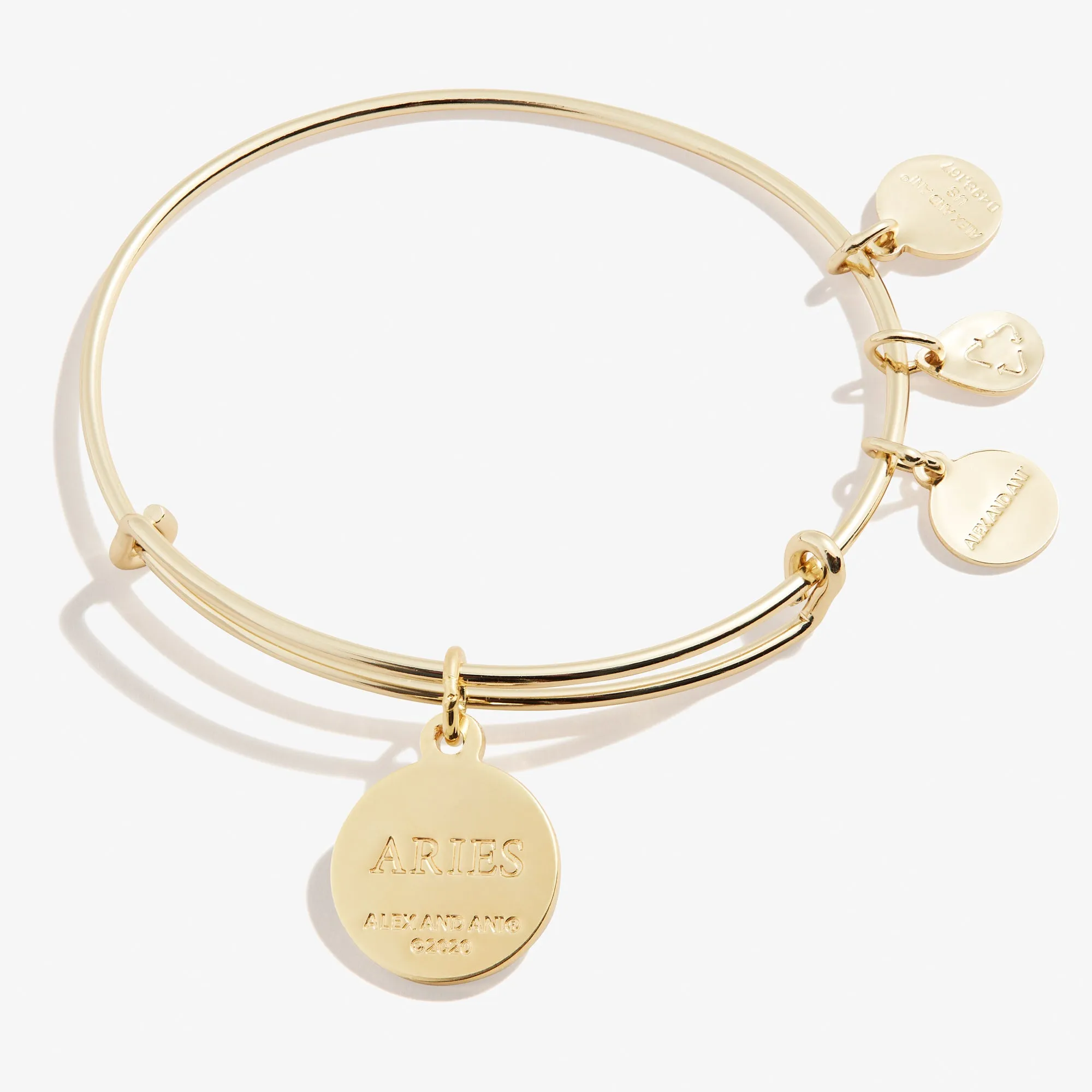 Aries Zodiac Charm Bangle