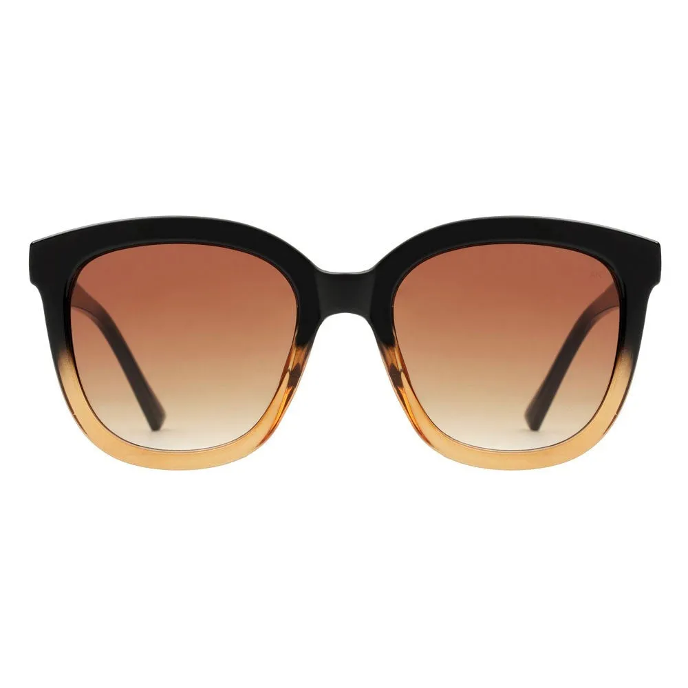 Billy Sunglasses - Black/Brown Transparent