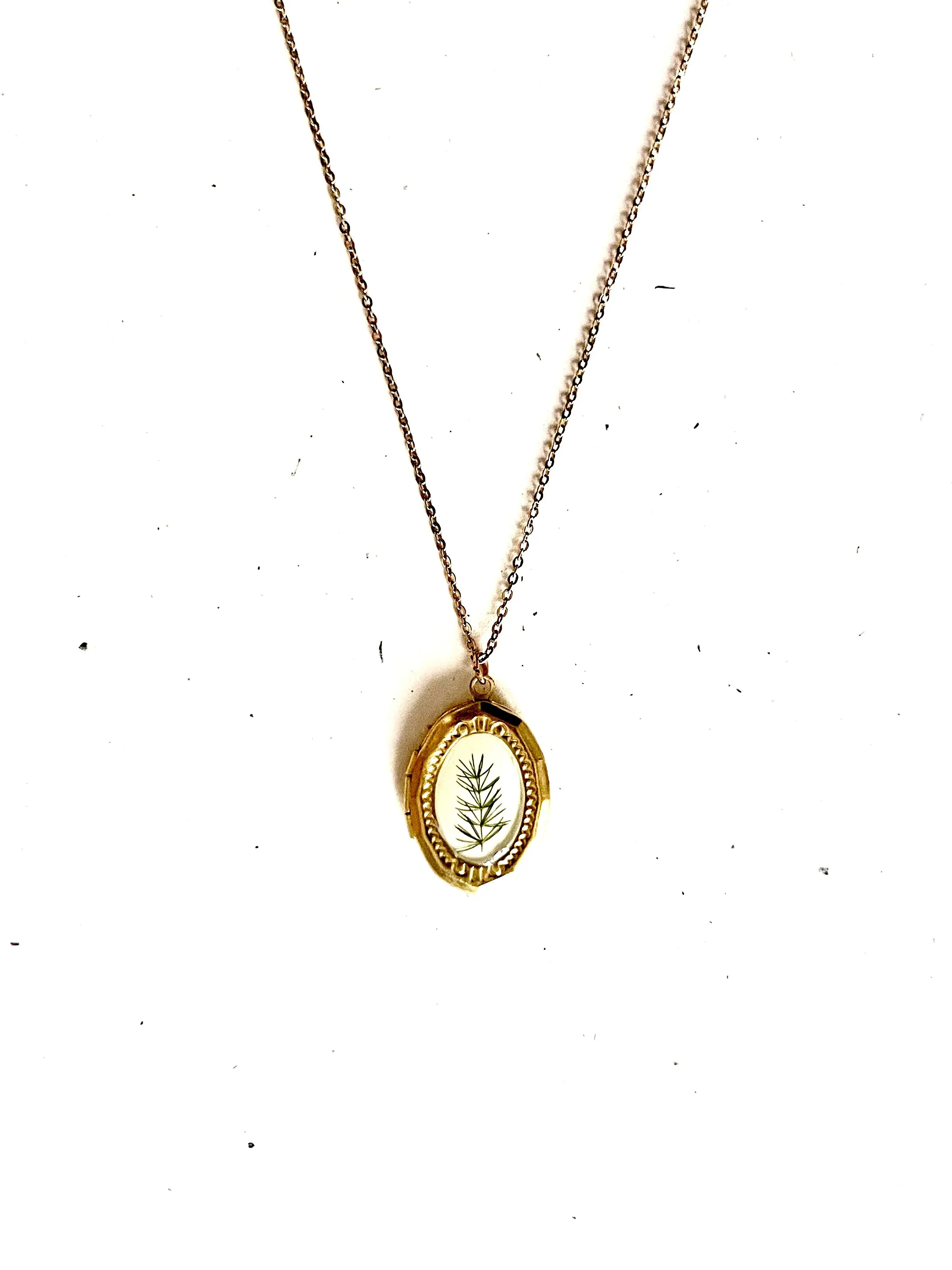 Medium Oval Fern Locket with Real Flower