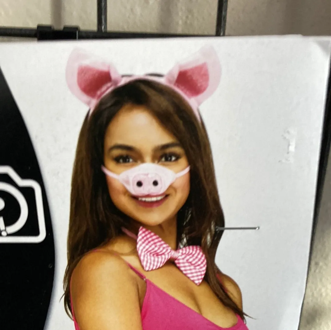 Pig Instant Costume Kit